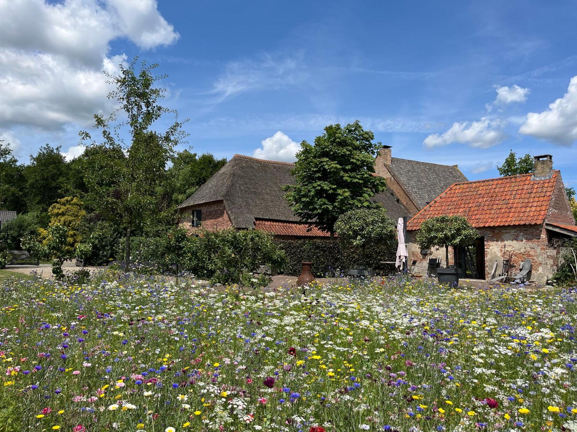 Den Eijngel Bed And Breakfast Boxtel Eksteriør bilde